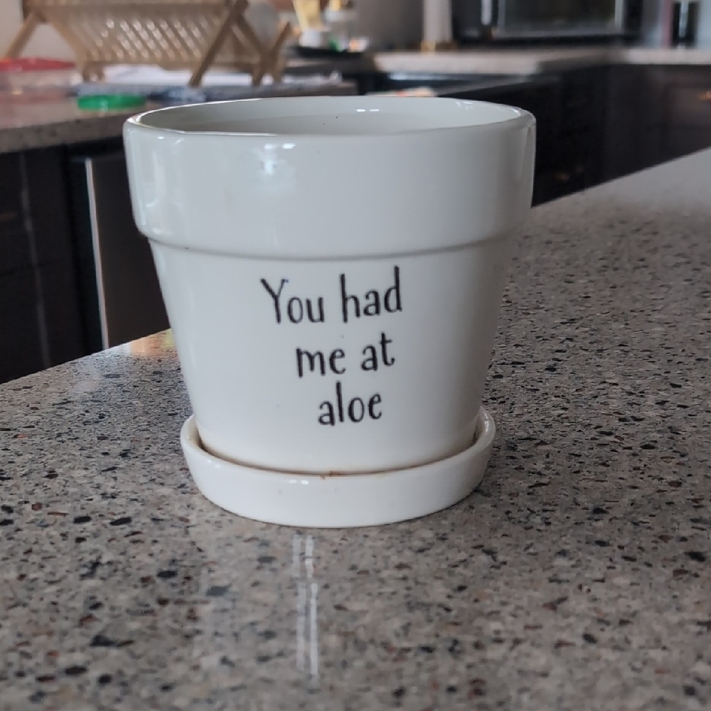 White Ceramic Planter with 'You had me at aloe' Text